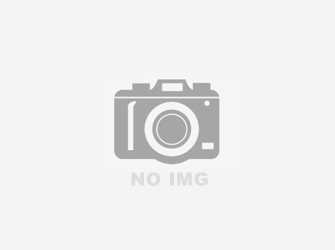 向日葵视频网站公司的2M53130硅钢片去毛刺机再次进军湖北